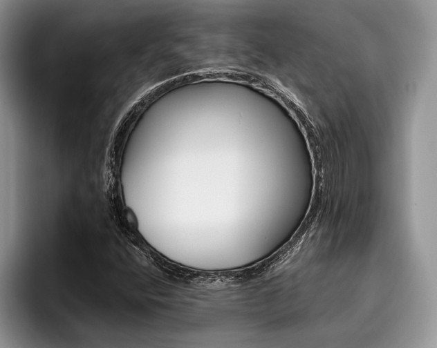 X0000096191400200801181311