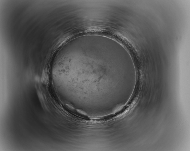 X0000096191401200801181311