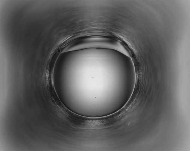 X0000096191402200801181311