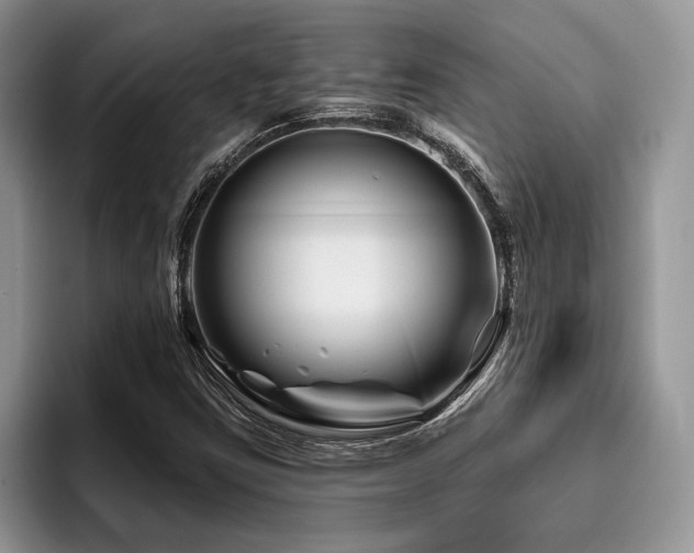 X0000096191403200801181311
