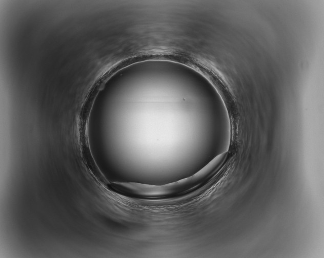 X0000096191404200801181311