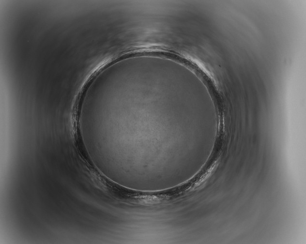 X0000096191405200801181311