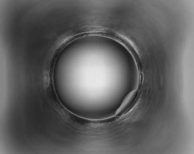 X0000096191407200801181311