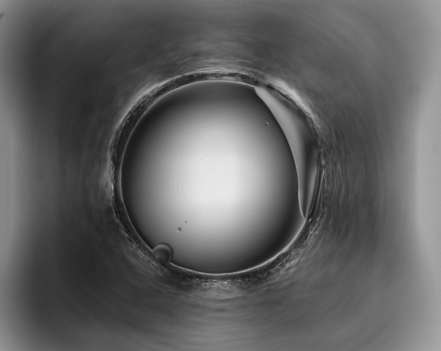 X0000096191408200801181311