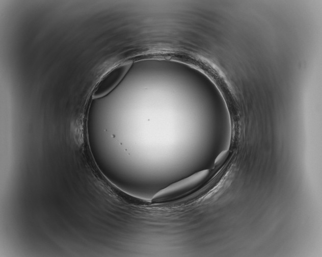 X0000096191409200801181311