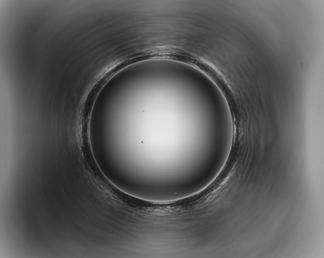 X0000096191410200801181311