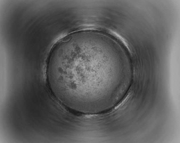 X0000096191411200801181311