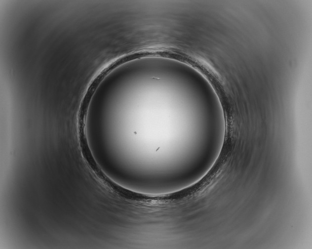 X0000096191412200801181311