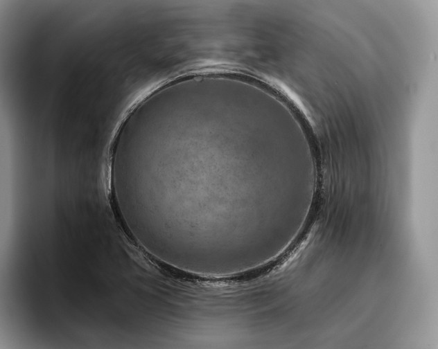 X0000096191413200801181311