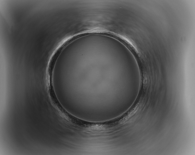 X0000096191414200801181311