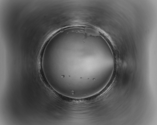 X0000096191415200801181311