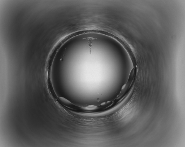 X0000096191416200801181312