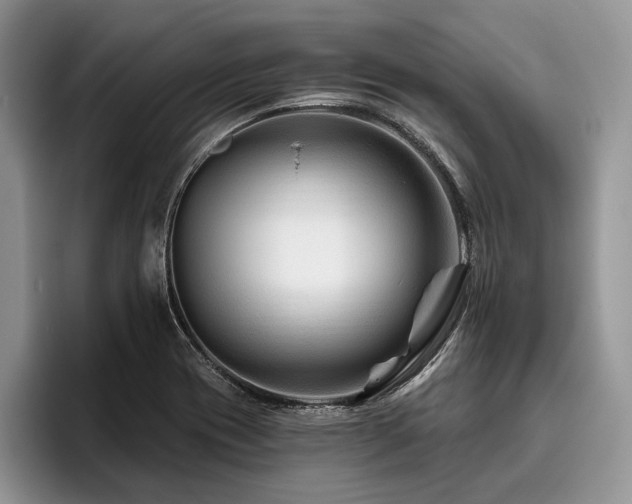 X0000096191417200801181312