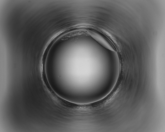 X0000096191418200801181312