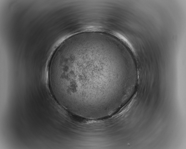 X0000096191419200801181312