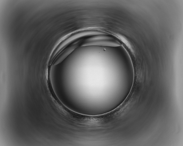 X0000096191420200801181312
