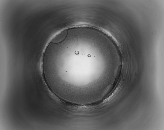 X0000096191421200801181312