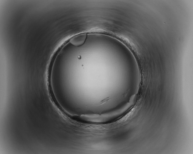 X0000096191422200801181312