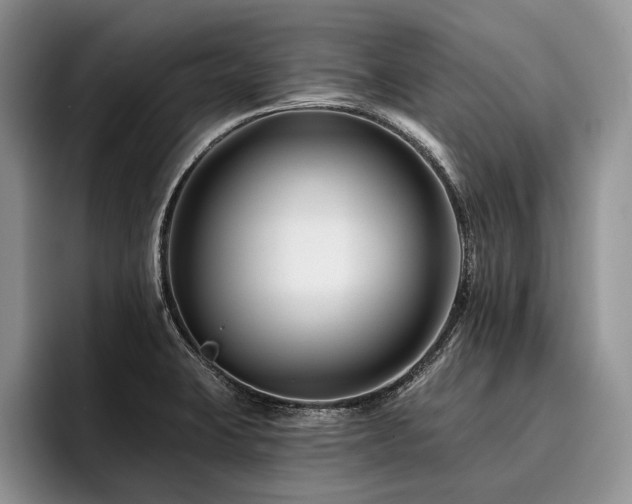 X0000096191423200801181312