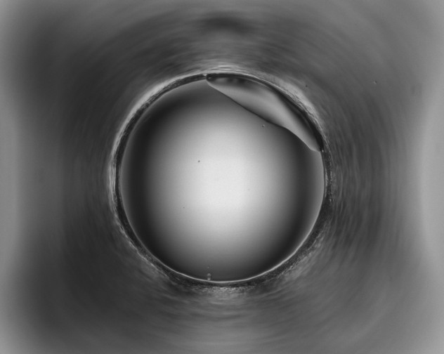 X0000096191424200801181312