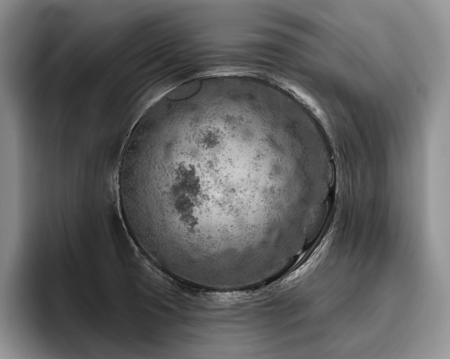 X0000096191425200801181312