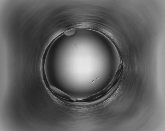 X0000096191426200801181312