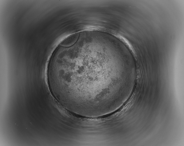 X0000096191427200801181312