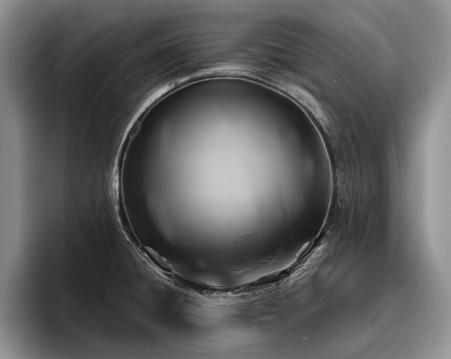 X0000096191428200801181312