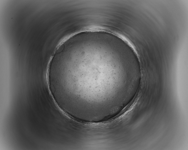 X0000096191429200801181312