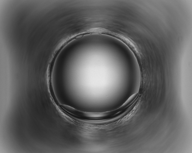 X0000096191430200801181312