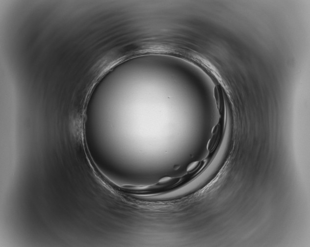 X0000096191433200801181312