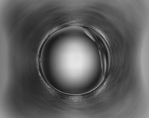 X0000096191434200801181312