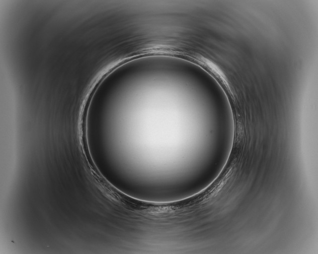 X0000096191435200801181312