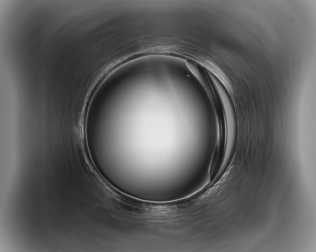 X0000096191436200801181312