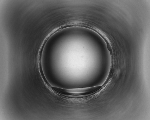 X0000096191437200801181312