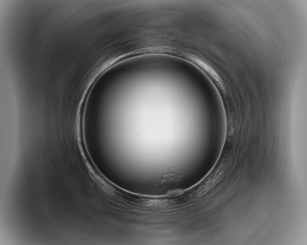 X0000096191439200801181312