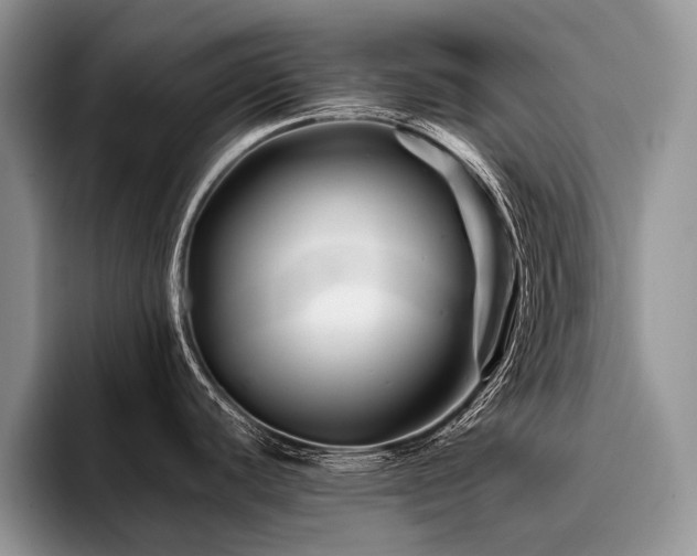 X0000096191440200801181312