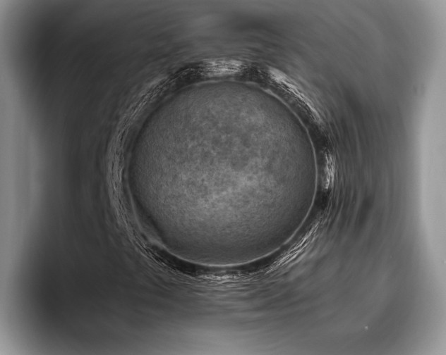 X0000096191441200801181311