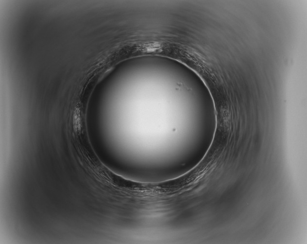 X0000096191442200801181311