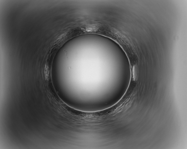 X0000096191443200801181311