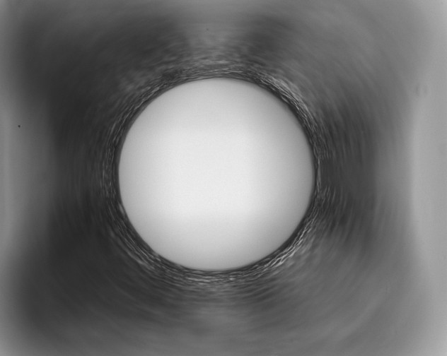 X0000096191444200801181311