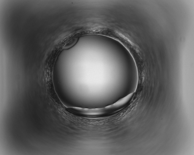 X0000096191447200801181311