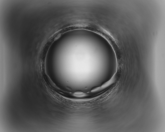 X0000096191448200801181311