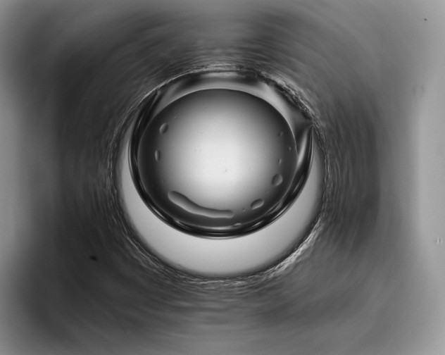 X0000096191449200801181311