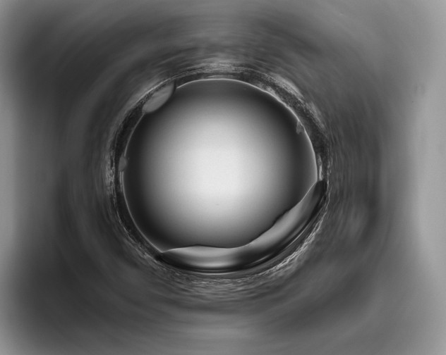 X0000096191450200801181311