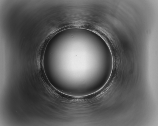 X0000096191451200801181311