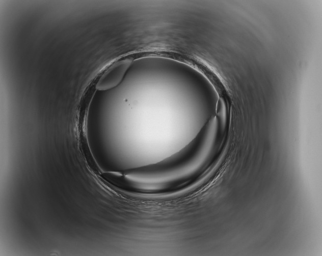 X0000096191452200801181311