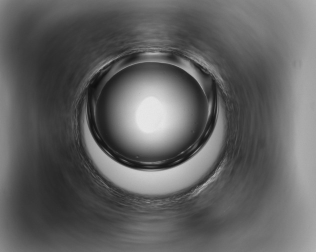 X0000096191453200801181311