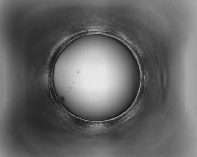 X0000096191454200801181311