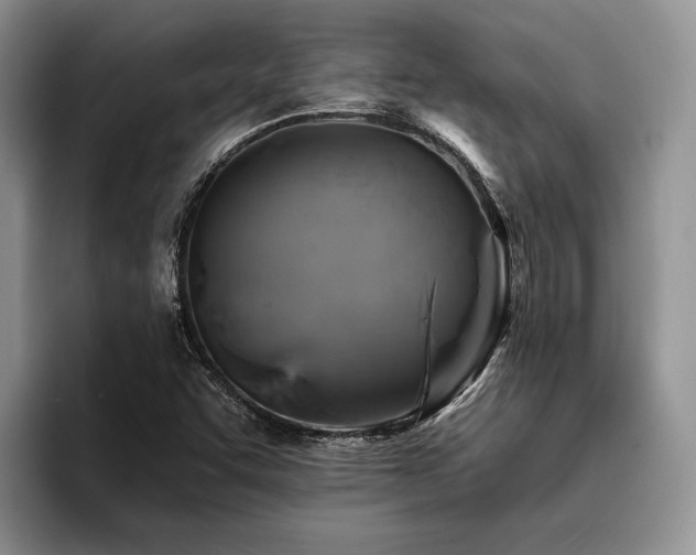 X0000096191455200801181311